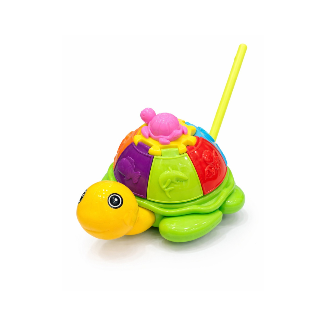 Push Along Turtle walking Toy