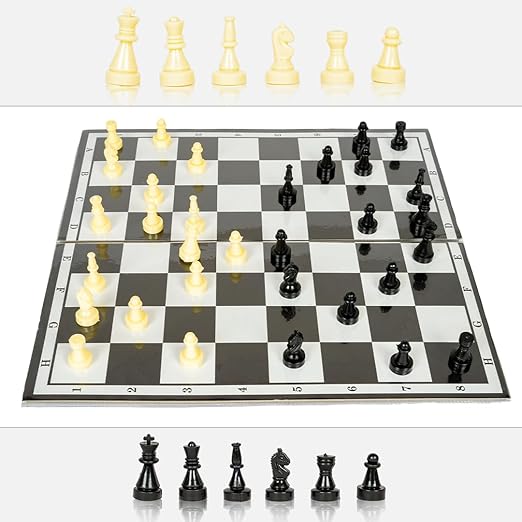 2 in 1 chess with snakes ladders