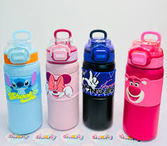 Disney Cartoon Stainless Steel Water Sipper-500 ML