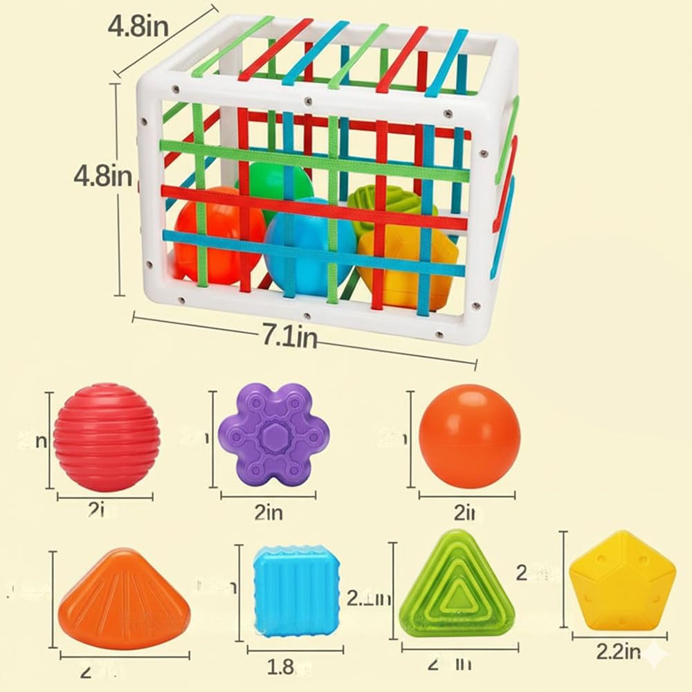 Sensory Sorter