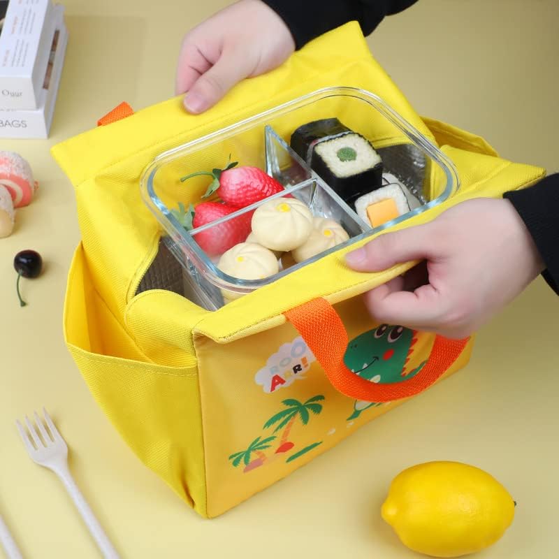 Large Capacity Square Insulated Lunch Bag (1pc) PREORDER 1 week dispatch time